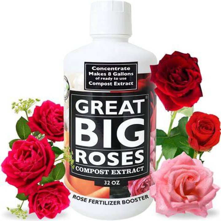 best fertilizer for roses