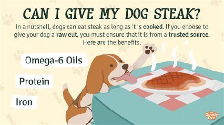 can dogs eat steak
