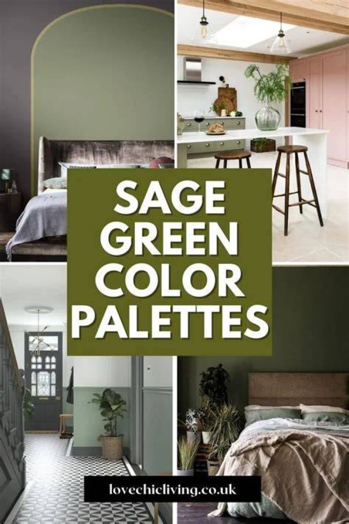 colors that go with sage green