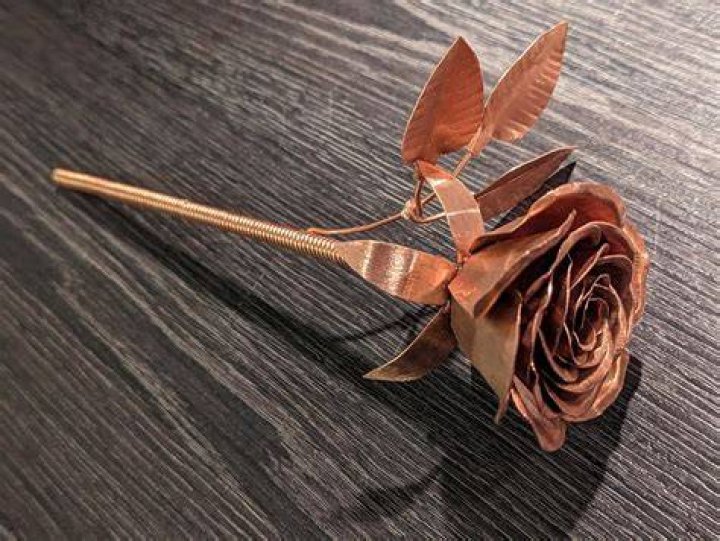 copper rose