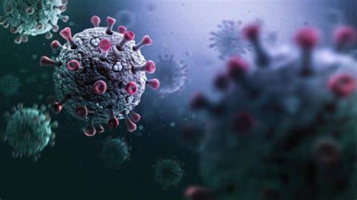 corona virus