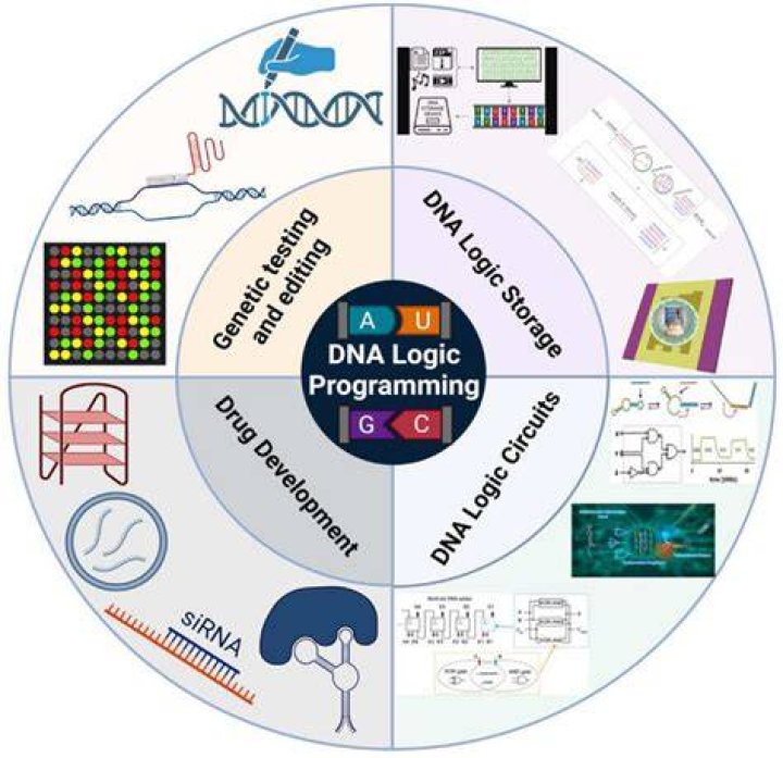 DNA Logic