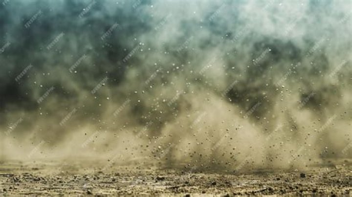 dust motes