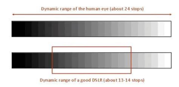 Dynamic Range