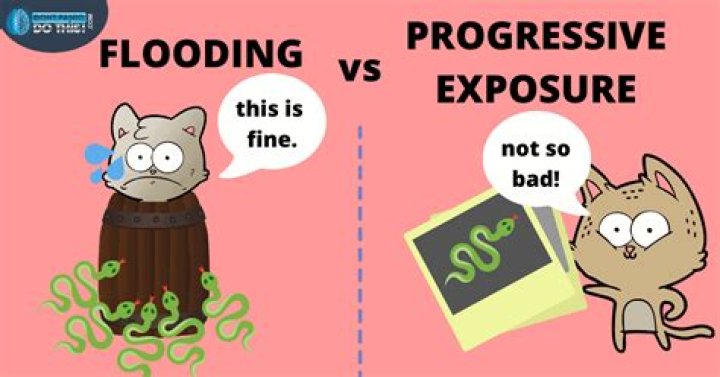 flooding psychology