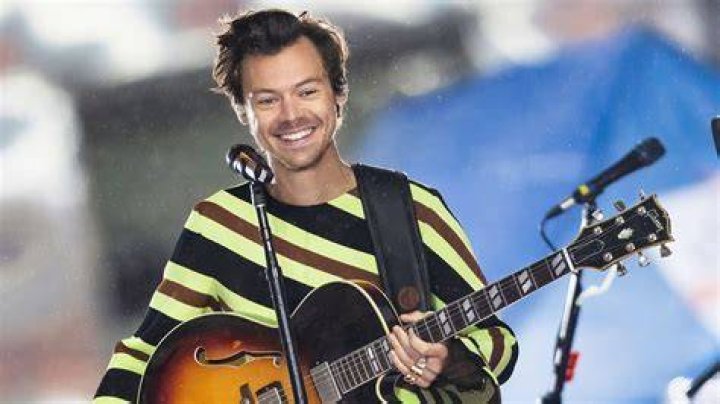 harry styles the singing sensation and experimentor