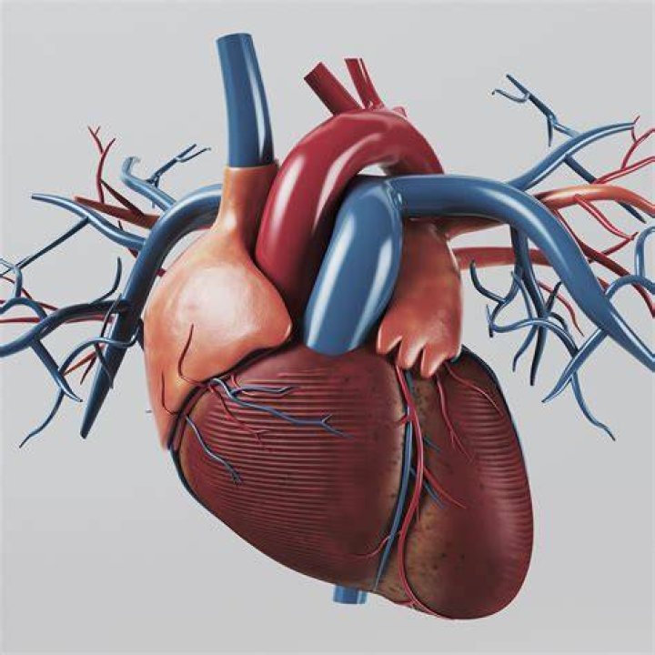 :heart: :heart: