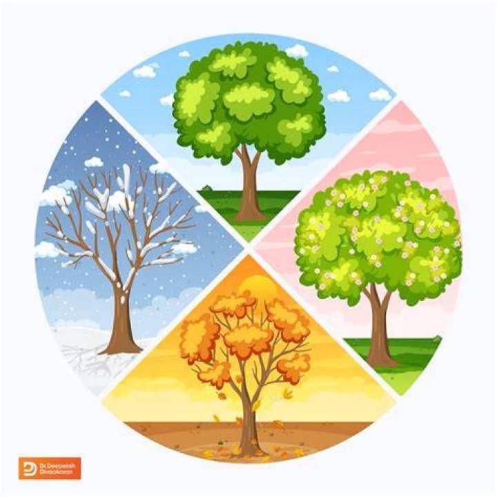 How many seasons are in Naruto How many seasons are in Naruto
