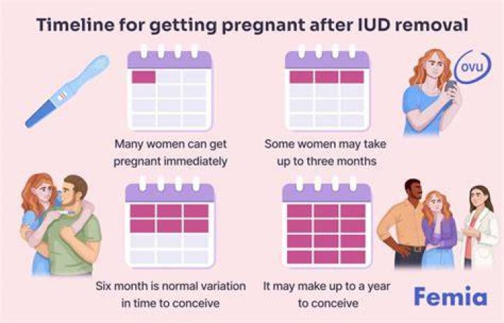 iud pregnancy stories