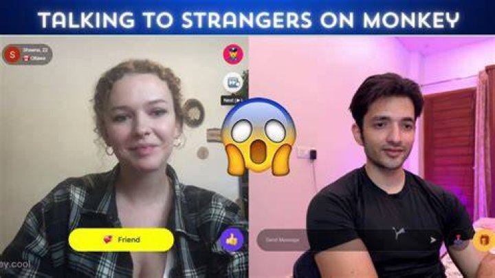 monkey talk to strangers