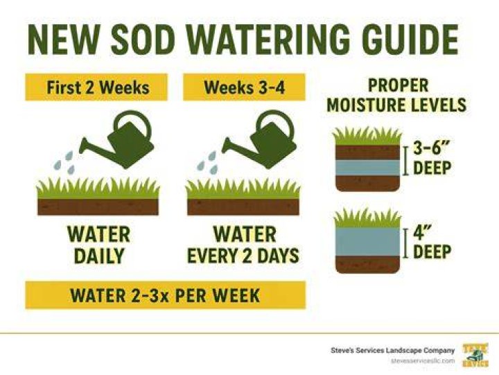 new sod watering schedule