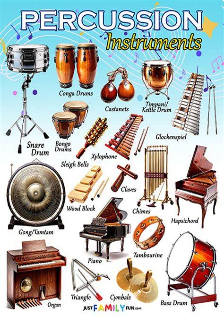 percussion instruments