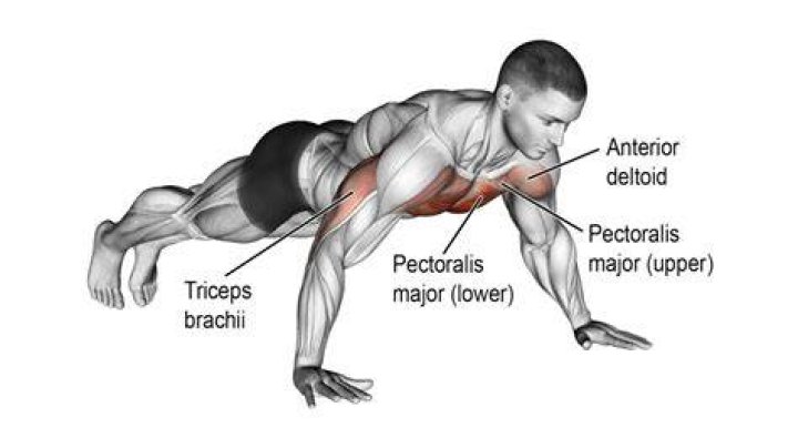 Push-Ups
