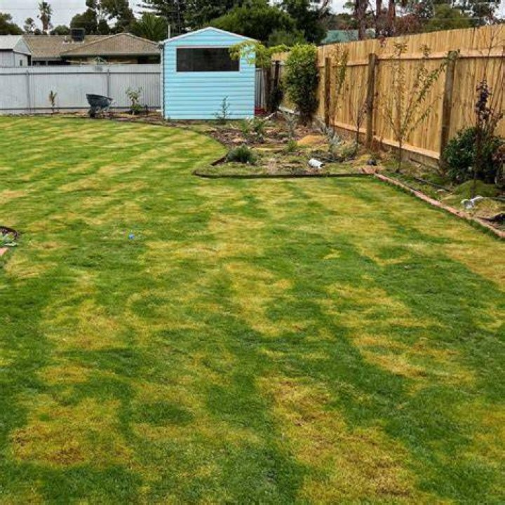 scalping lawn