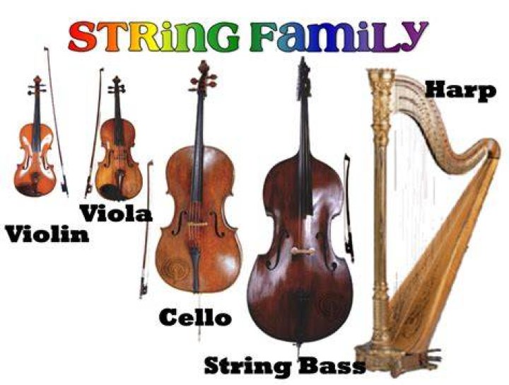 string family instruments