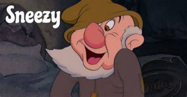 The Sneezy dwarf