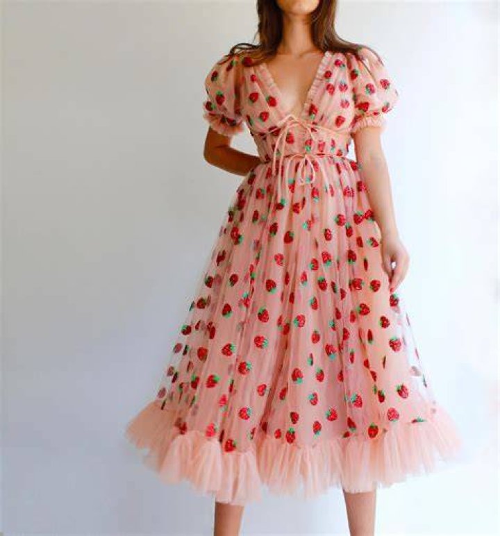 the strawberry dress