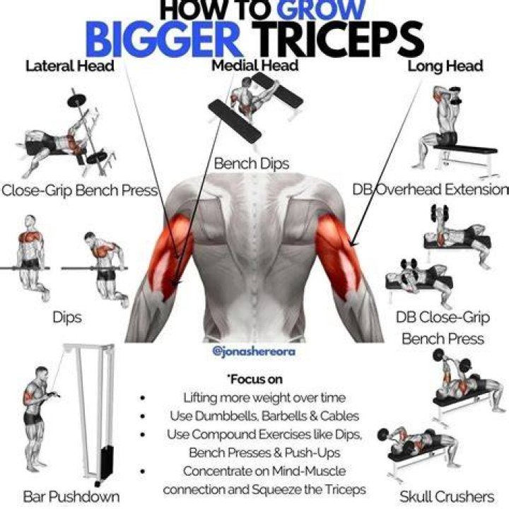Tricep &zwnj;Exercises&zwnj; and Workouts For Men