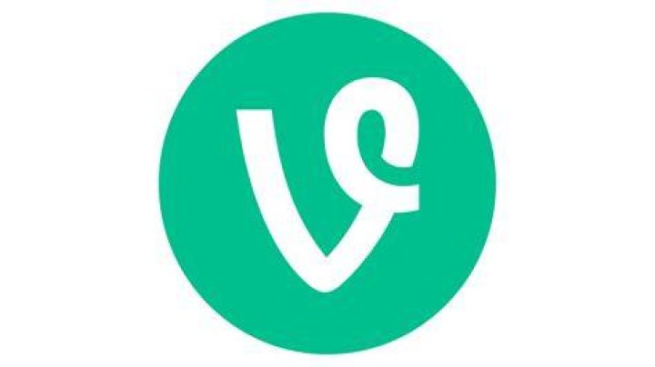 Vine
