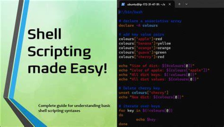 what is shell scripting