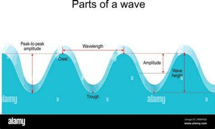 What is the trough of a wave?